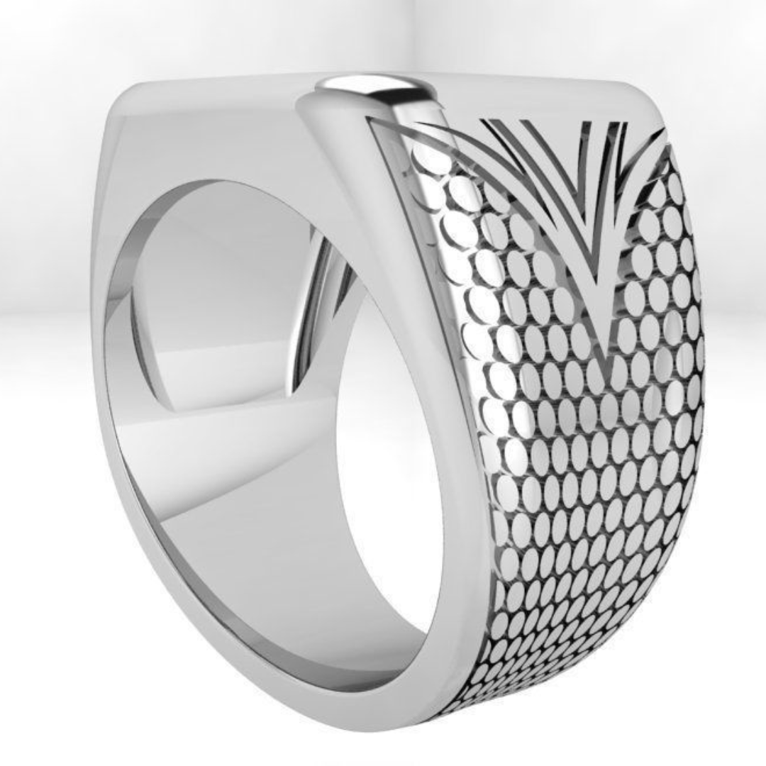 Silver bezel signet ring